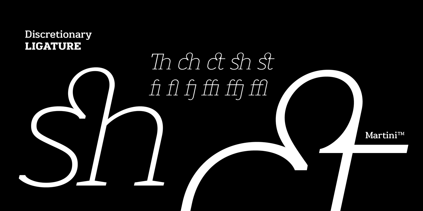 Beispiel einer Martini Thin Italic-Schriftart